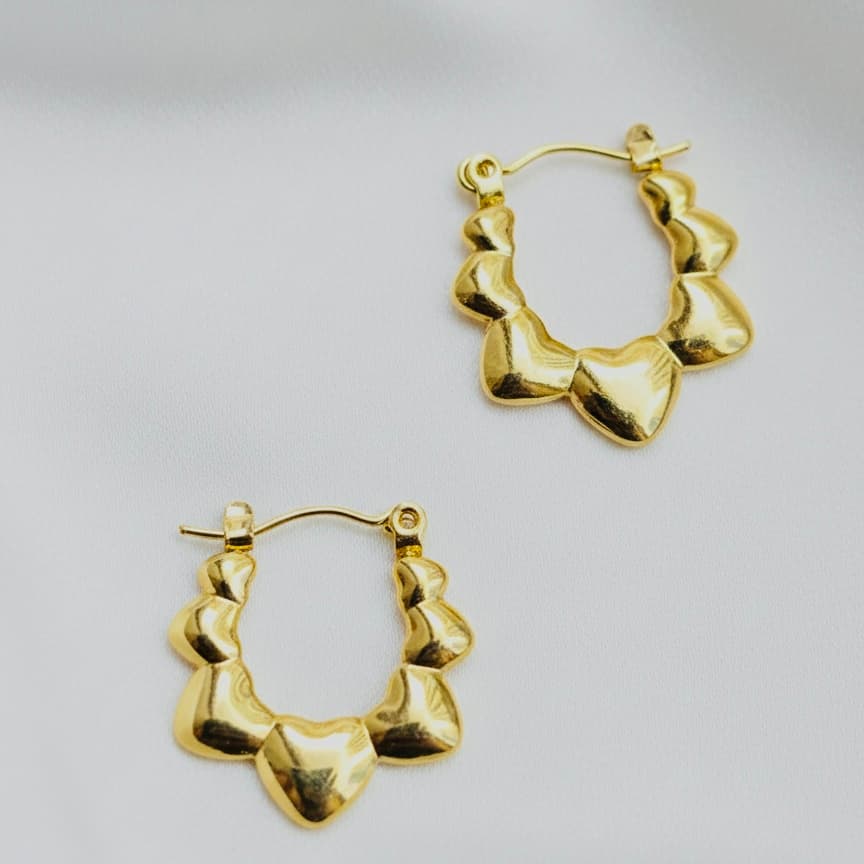 Zyler-Infini Love Hoops